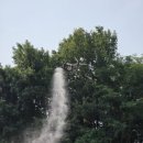 바람방역방제