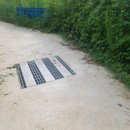 정선영농장 이미지