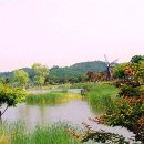 숲속의 섬 이미지