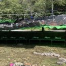 뚝방흑염소 이미지