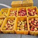 풍각시장 이미지