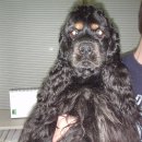 안녕하세요 이미지