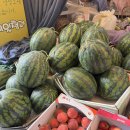 보령청과 이미지