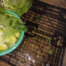 현대이용소 이미지