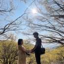 원좌회관 | 구례 산수유꽃축제 주차장 산수유마을 봄꽃여행 후기