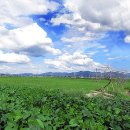 전주 하늘 이미지