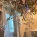 속초동아약국 이미지