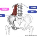 바디필 헬스 스피닝 | 평생그렇게 한쪽목만 아파요(익산피티/익산다이어트/익산헬스장/익산재활/익산교정/바디필헬스&amp;스피닝)