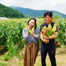 농업회사법인(주)행복한농부들 이미지