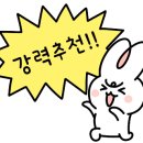 명인카오디오