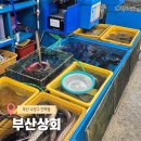 연희초장 | 광안리회포장 민락회타운 막장 특이한 부산상회 연희초장