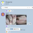 맛있는 홍게 쪄서 보내드려요~ 동해안 자숙 홍게 이미지