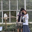 제니키스 이미지