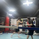 더파이팅 복싱짐 이미지