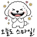 24시 더블유 동물의료센터 이미지