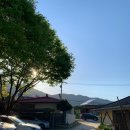 참살이토속청국장 이미지