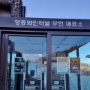 신세계성인오락실 | 영동 여행코스 영동가볼만한 곳 영동와인터널