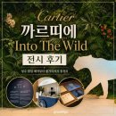 [Review] 까르띠에 Into The Wild 전시 후기｜성수 팝업 예약부터 볼거리까지 총정리