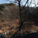 적량면사무소 이미지