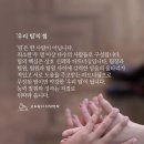 화갤러리 이미지
