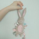 바니스텝