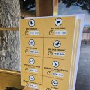 J농장 | [모리셔스 신혼여행 2일차] 카셀라 파크 에코 라이더와 워킹 위드 라이언 후기