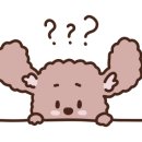 두끼대전