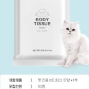 베이직바디 이미지