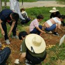 정신농장 이미지