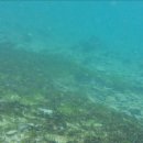 까사보니따 이미지