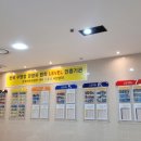 아쿠아마린 키즈스윔 이미지