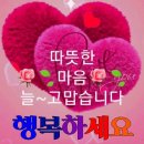 모든날이 행복하기를 이미지