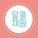 달콩 이미지