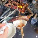 [국내 여행] 강화도 아르보리아 캠핑장 애견동반 캠핑후기