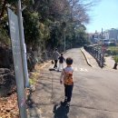 솜반천 | 가족 나들이 제주 서귀포 서홍동 솜반천 둘레길 천지연폭포 아이들과 다녀온 후기