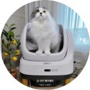 디클펫 모리 고양이자동화장실 솔직 후기 다묘가정 추천템이에요