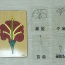 한국몬테소리연구소