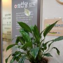 의선당한의원 이미지