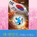 대~한민국, 세계로 미래로!!! 이미지