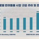 미음펫푸드 이미지