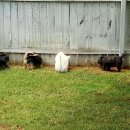 세탁천재 이미지