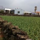 무릉경로당 이미지