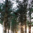 스파뷰호텔 이미지