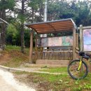 영해초등학교 앞 이미지