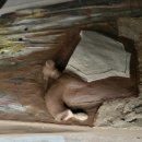 Space Draw 이미지