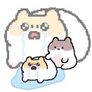 온더브라이드