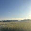 초지역 1번출구 앞 이미지