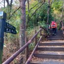 오성고속관광(주) 이미지