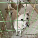 (주)위드어스인 이미지