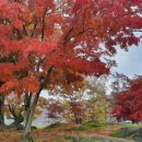 은진모텔 이미지